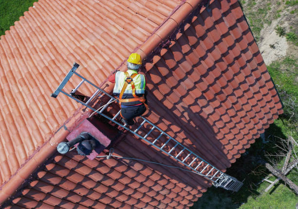 Best Roof Ventilation Installation  in Poplar Grove, IL