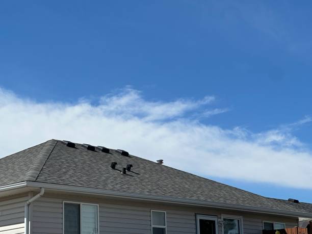 Best Tile Roofing Installation  in Poplar Grove, IL